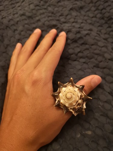 Bague véritable coquillage - bague,