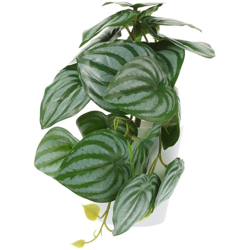 Fausse plantes pot petit faux - fausse,