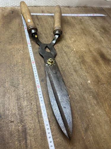 Cisaille coupe buis outil - cisaille,