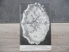 CPA - Ombrelle en dentelle