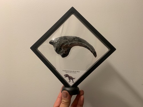 Cadre griffe tyrannosaure - cadre,