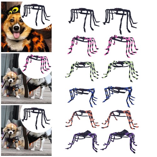 Costume chien chat pour - costume, de