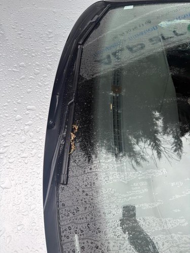 Baie pare brise volkswagen - pare,