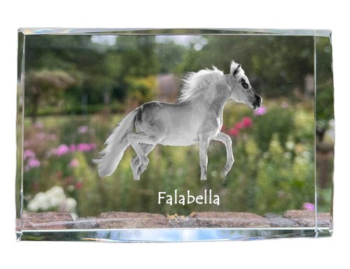 Falabella cristal avec - , un