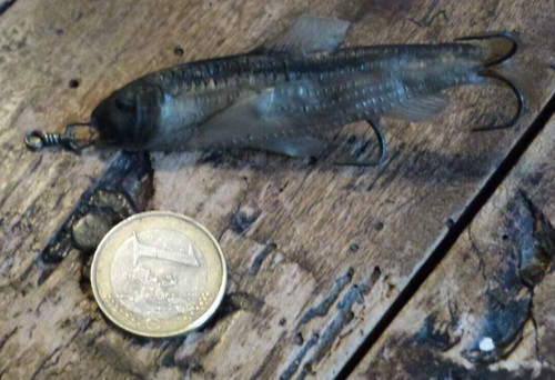 Peche ancien poisson - poisson, nageur