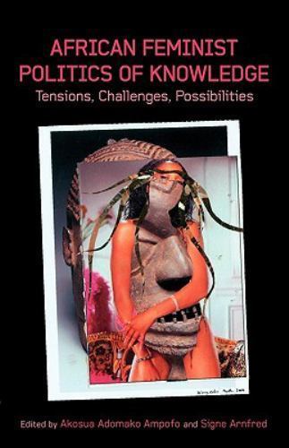 African feminist politics - politics, of