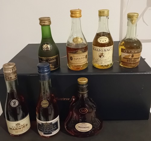 Mignonettes cognac - mignonettes,