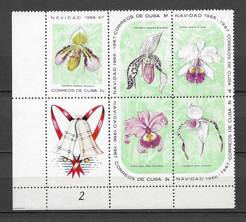 1966 fleurs orchidées - fleurs,