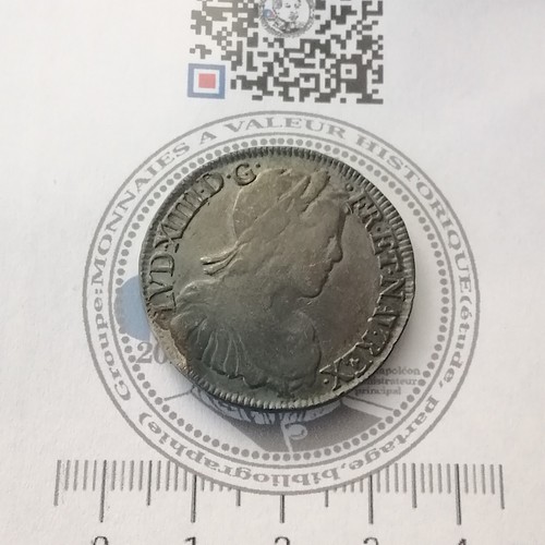 Louis xiv demi - xiv, portrait