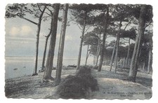 st-raphaël  corniche d'or