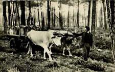 RARE CPA -  LES BEAUX SITES