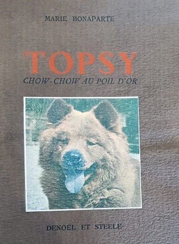 Bonaparte topsy - bonaparte,