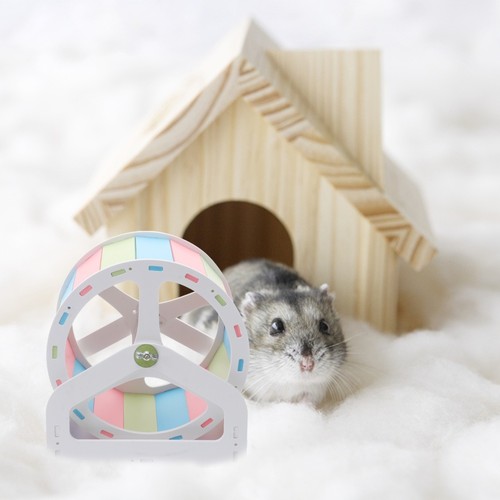 Accessoires pour hamsters roue - accessoires,