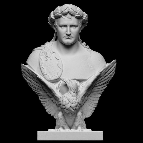 Buste napoléon pla - de,