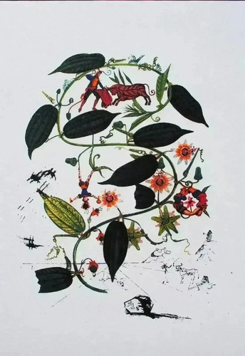Salvador dali passiflore - salvador,