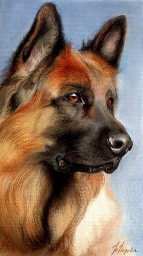 Plaque metal chien - metal,