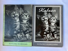 Lot 2 Livret Chats et Chatons
