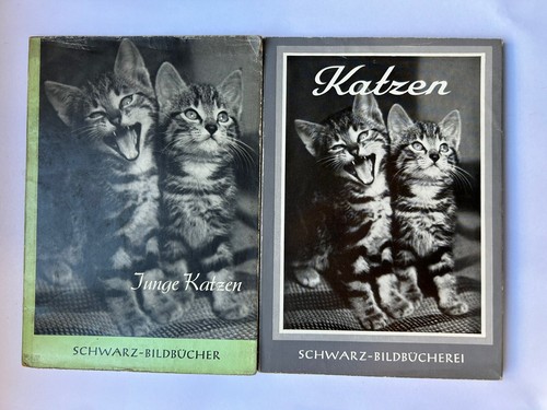 Lot livret chats chatons - lot,