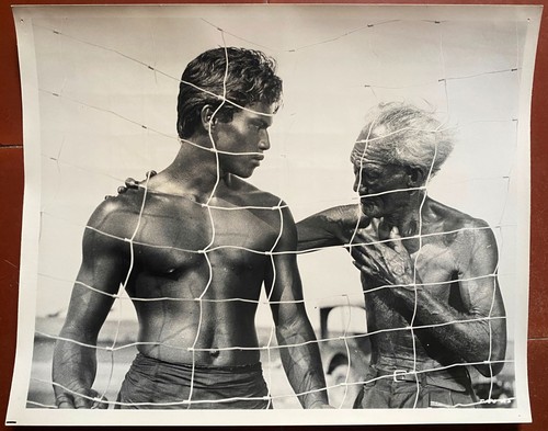 Photo originale tiko - photo, et