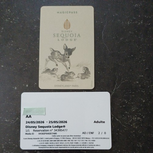 Pass disney disneyland clef - pass,
