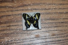 féve papillon (111)