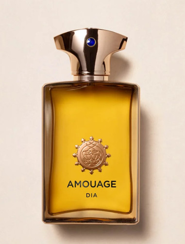 Amouage dia man 100 - amouage,