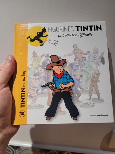 Livre figurines tintin - figurines,