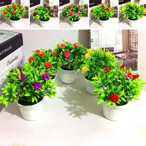 Décoration plante - décoration,