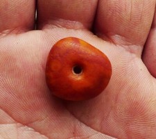 20mm Perle AMBRE Collier Berbère Bijou Ancien Maroc Antique Moroccan Amber Bead