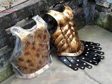 Romain Muscle Armure Plastron Renactment de Collection Jeu Rôle Médiévale Veste