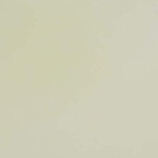 Feuille de parchemin - 21 x 29,7 cm