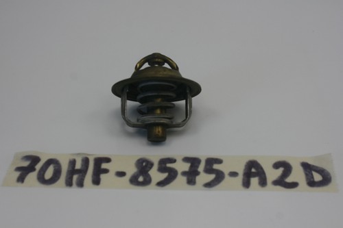 Thermostat ford - thermostat, qh