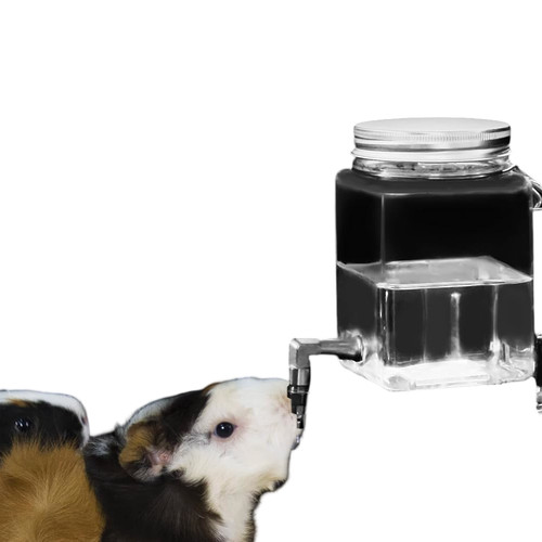 Guinealoft bouteille eau - guinealoft,