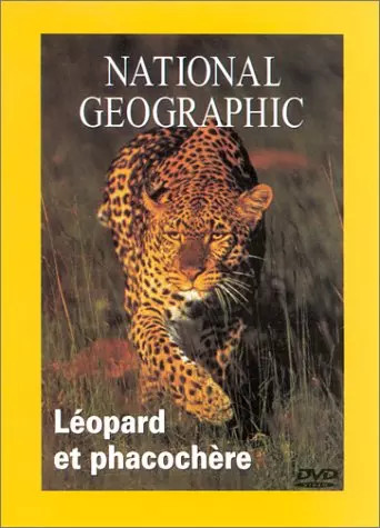 National geographic léopard - geographic,