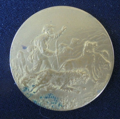 Médaille bronze desaide - médaille, en