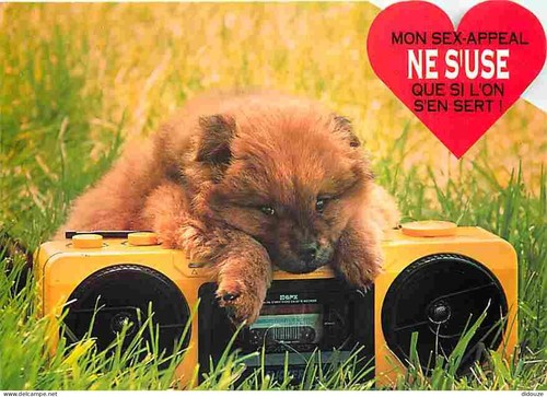 Carte postale animaux - -,