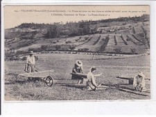 VILLENEUVE-sur-LOT: la prune