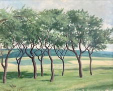 Peinture À L'Huile Anonyme Paysage Avec Baumgruppe Ölbild 44,5 X 54,5 CM