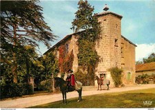 Animaux - Chevaux - Lupiac -