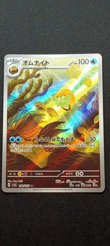 Amonita omanyte 180 165 - amonita, 180/165
