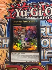 traptrix pinguicula carte neuve first edition neuve française SDBT-FR042 