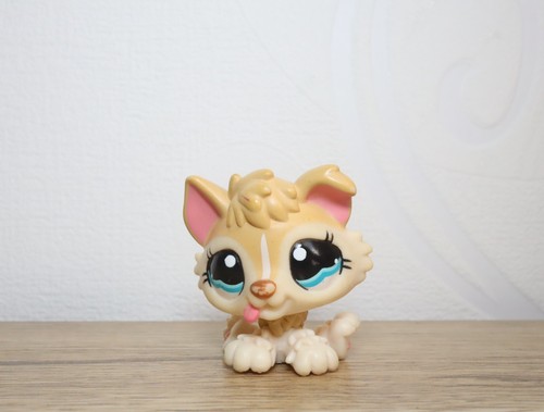 Littlest petshop husky 1013 - husky, #1013
