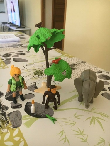 Playmobil 5628 wild - playmobil, life
