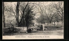 CPA Couhé-Vérac, Champ de
