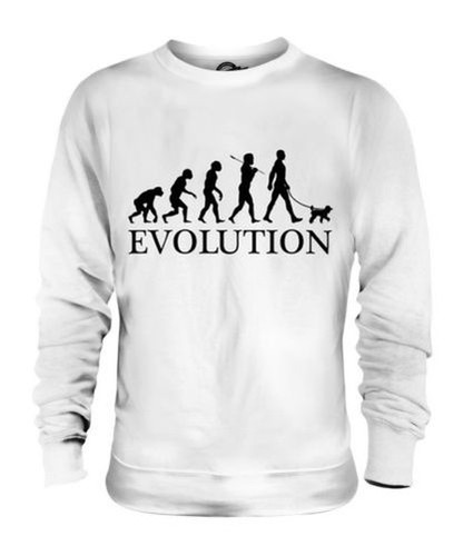 Caniche miniature évolution - caniche,