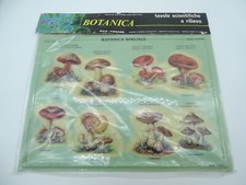 Planche Scientifique Relief