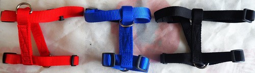 Harnais avec sangle ventrale