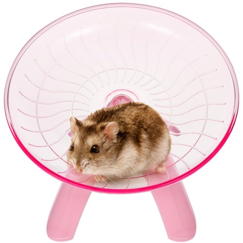 Roue jogging pour hamster - de,