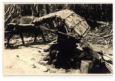 Indonésie, Sumatra, Moulin à