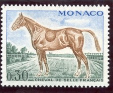 STAMP / TIMBRE DE MONACO N° 833 ** FAUNE / CHEVAL / CHEVAL DE SELLE FRANCAIS